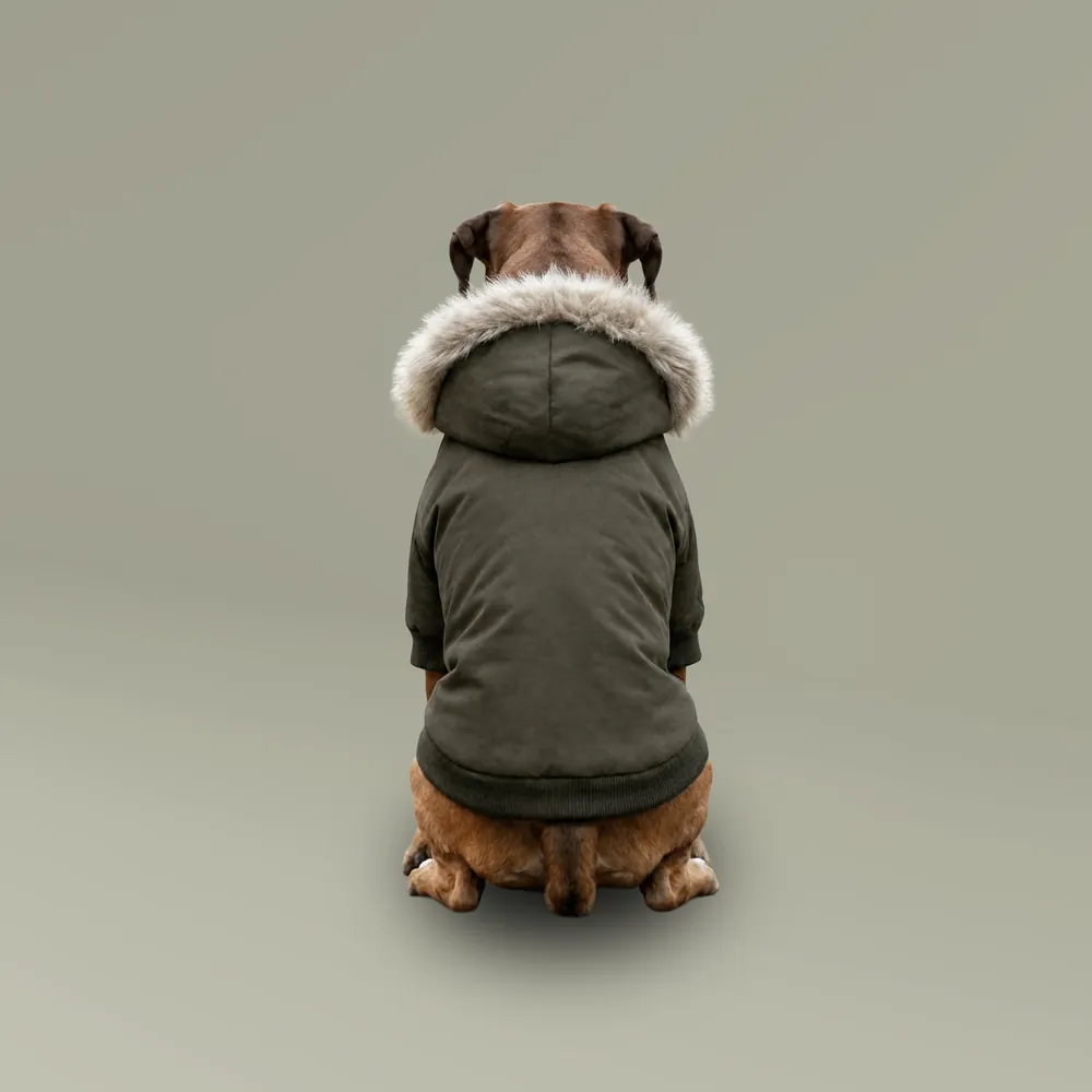 The back of the khaki parka, where the design is printed